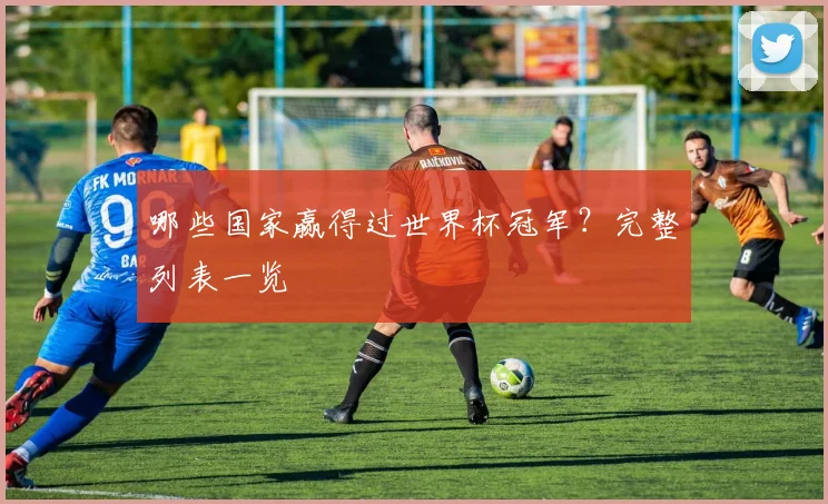 哪些国家赢得过世界杯冠军？完整列表一览