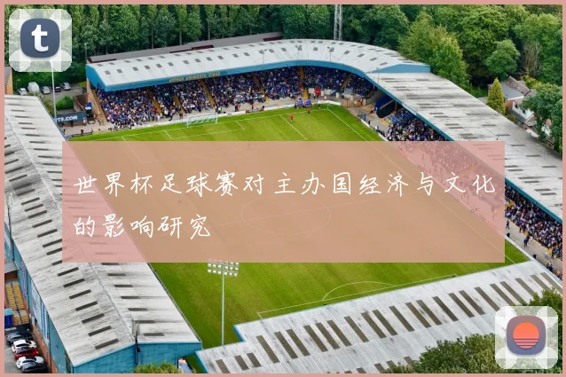 世界杯足球赛对主办国经济与文化的影响研究