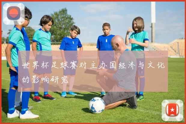 世界杯足球赛对主办国经济与文化的影响研究